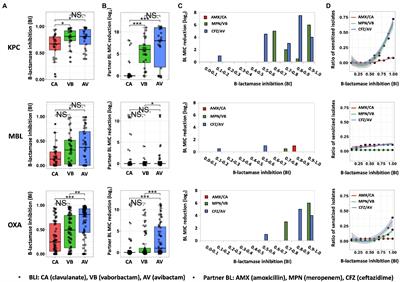 Quantitative Insights Into β-Lactamase Inhibitor’s Contribution in the Treatment of Carbapenemase-Producing Organisms With β-Lactams